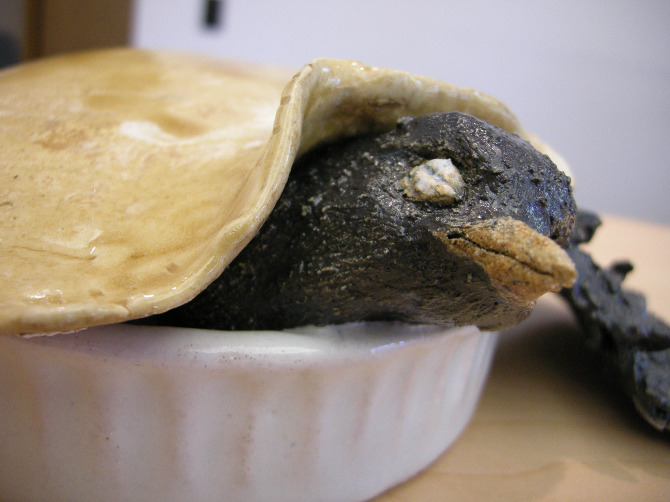 Bird Pie I Tsai Lian